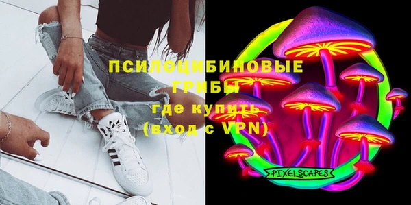 бошки Абинск